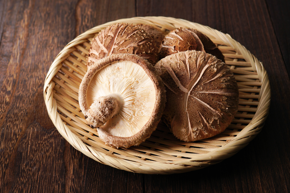 Po jakie grzyby adaptogenne sięgać zimą? Adaptogeny dla wsparcia odporności i samopoczucia